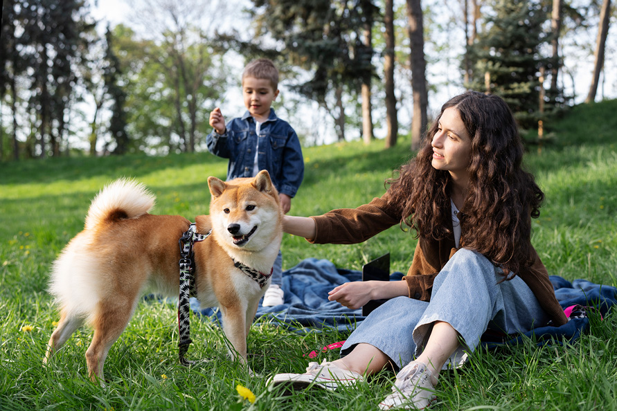 TVS-Hospitals-9-From-Park-Walks-to-Disease-Detection-What-Global-Research-Means-for-Your-Pet